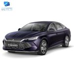 چادر بی وای دی چین L